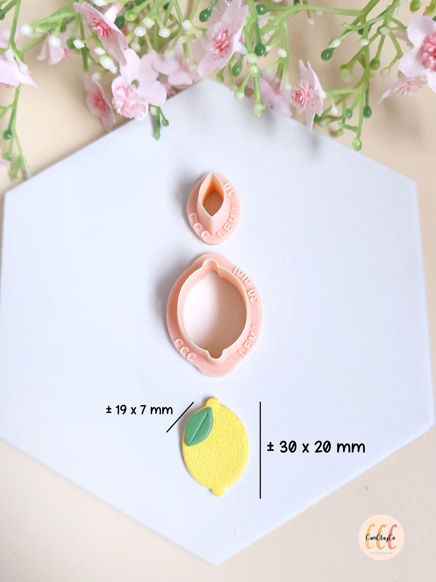 Emporte-pièces 3D en forme de citron et feuille pour la fabrication de bijoux en argile polymère