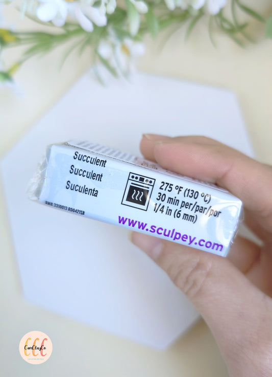 Argile polymère Sculpey Soufflé - Succulent