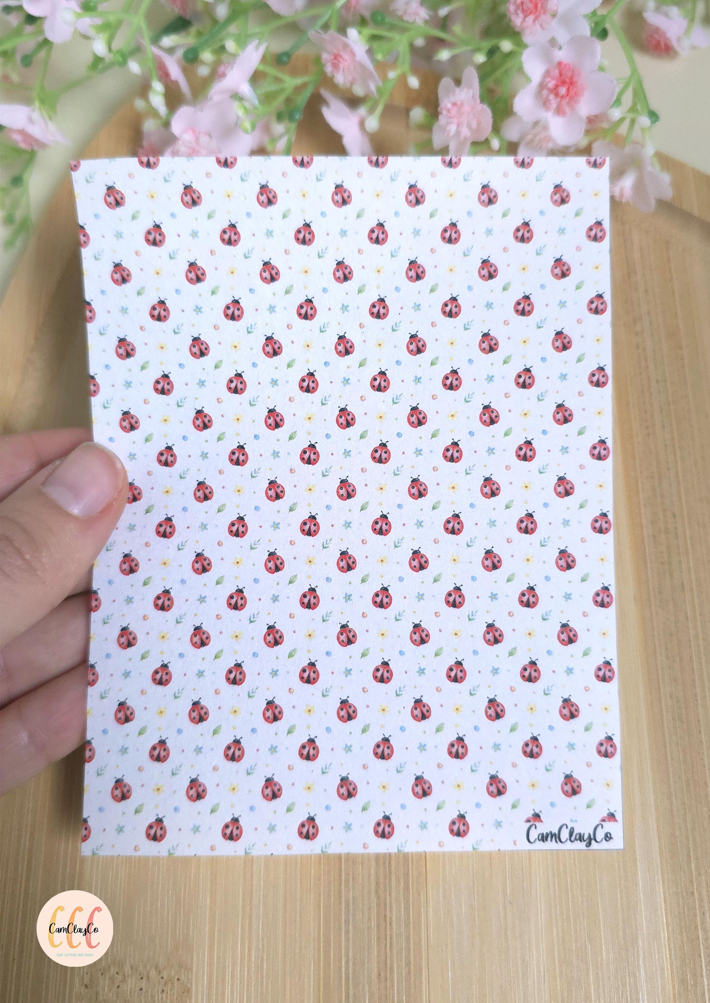 Feuille de transfert soluble à l'eau - Ladybug 01
