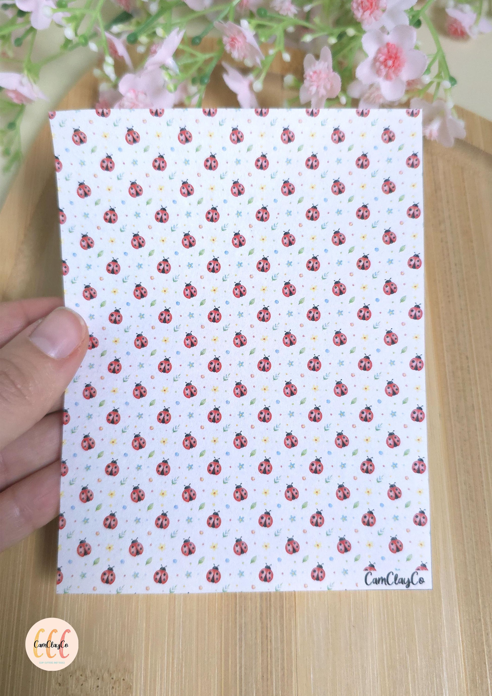 Feuille de transfert soluble à l'eau - Ladybug 01