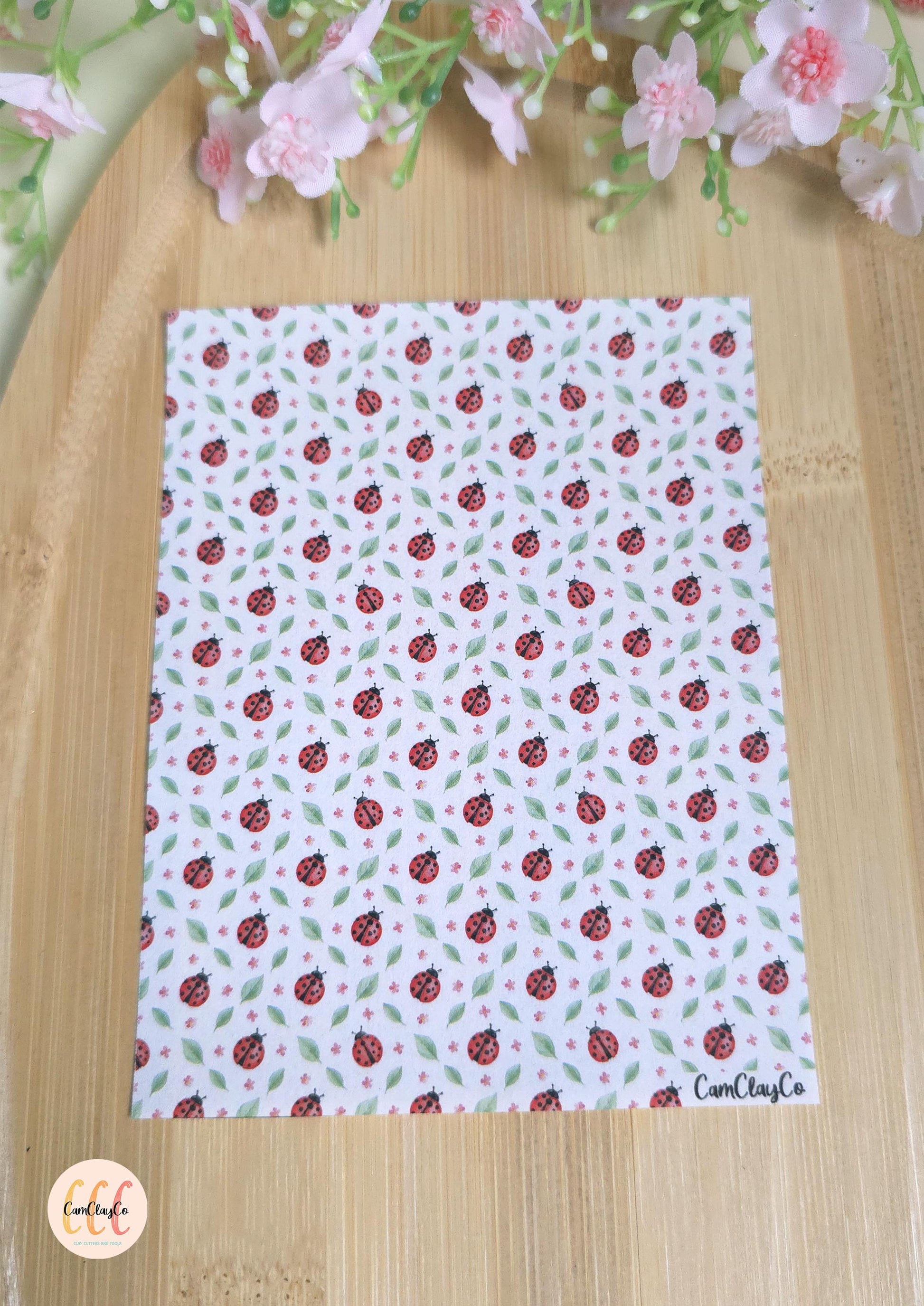 Feuille de transfert soluble à l'eau - Ladybug 03
